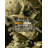 Head of a Skeleton with a Burning Cigarette. Vincent Van Gogh Reproductions. Giclee Print-93918497-93918499
