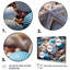 Coastal Seashell Symphony - impression-1205538532-1205538462
