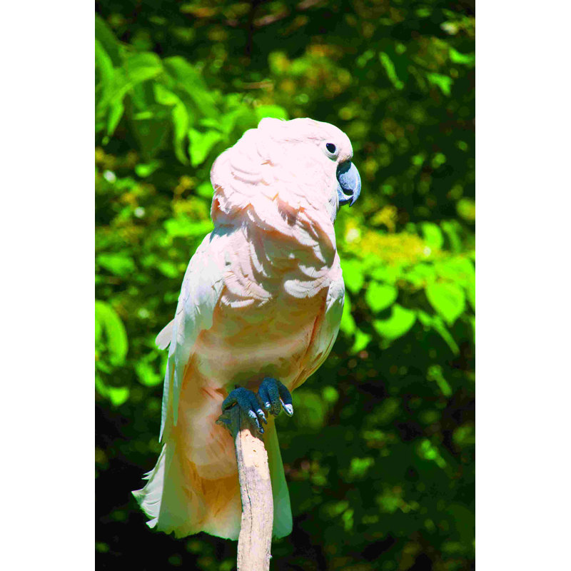 Oiseau rose, H 36 po x l 24 po