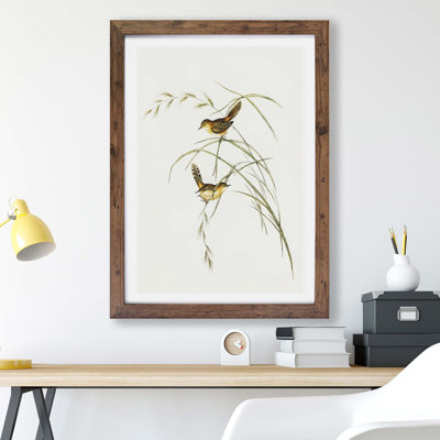 Exile Warbler by Elizabeth Gould - Single Picture Frame Painting
