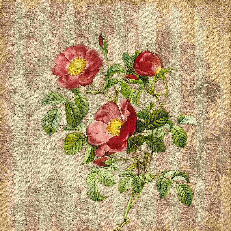 Victorienne délavée - impression sur toile tendue, H 12 po x l 12 po
