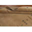 Tapis tribal Gabbeh