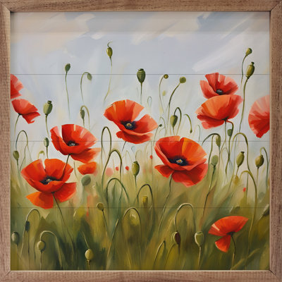 Red Poppy Field