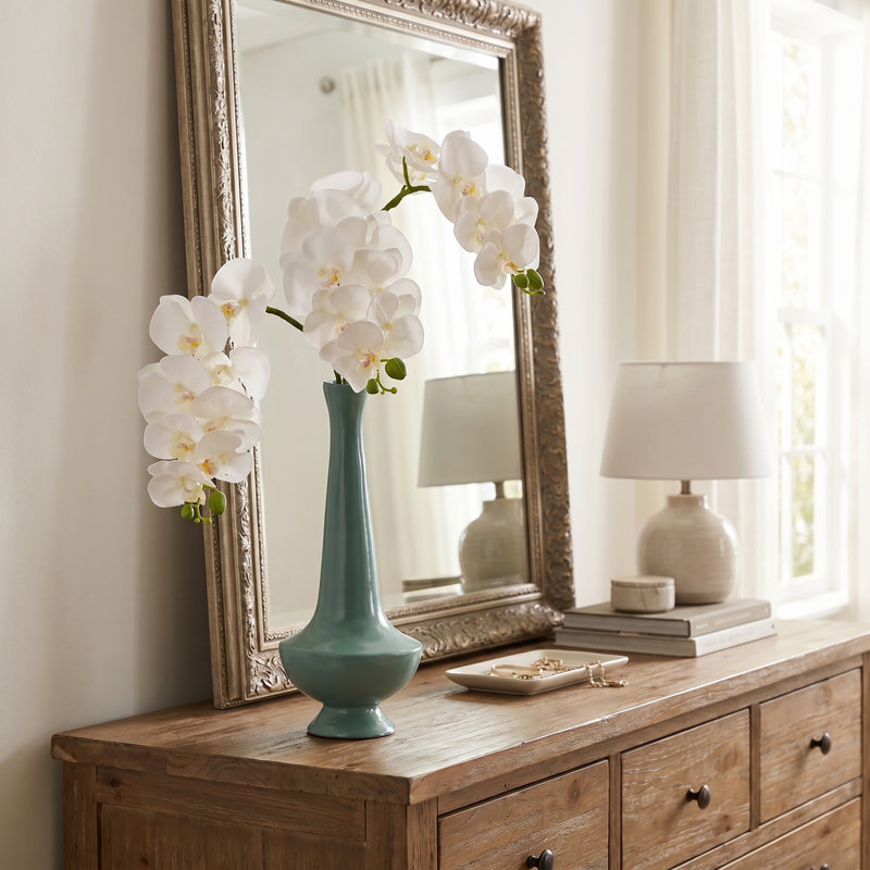 Phalaenopsis en serre 28 po , Blanc
