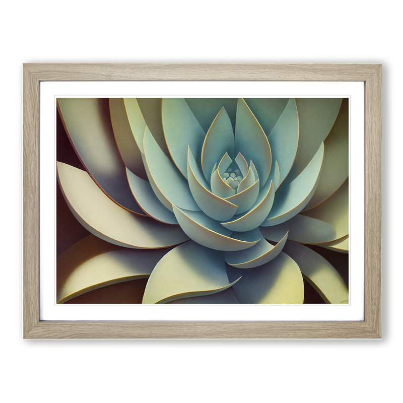 XH1022-6902X Phenomenal Succulent Plant - Single Picture Frame Print, Oak Framed, 46cm H x 64cm W x 2cm D