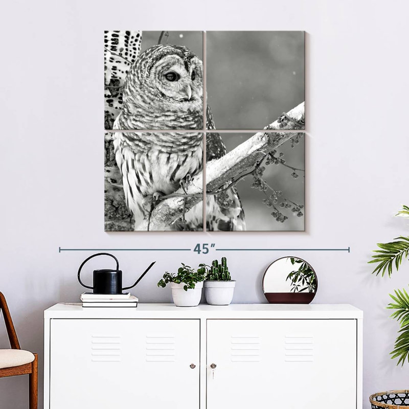 Hibou blanc Brampt BW, H 32 po x l 32 po