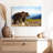 Crowle Mountain Bear-111960594