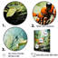 «Verdant Explorer Red Ant» sur toile-571883573-571883529