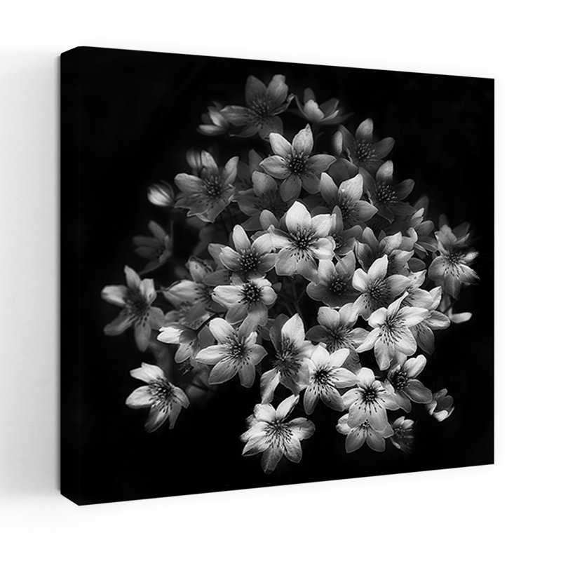 «Graceful Floral Cluster», art dramatique délicat, plante naturelle, H 32 po x l 32 po