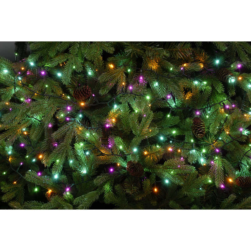 Aurora 5816.6cm LED Indoor / Outdoor String Lights, Pink/Green/Yellow