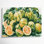 Art mural sur toile beige Fruit Pomelo