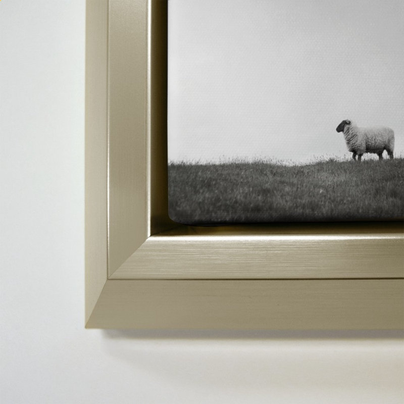 Islay Sheep II par Laura Marshall - Impression sur toile, H 40 po x l 40 po, Champagne