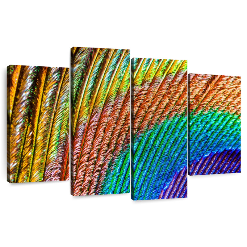 Brampt Abstract Peacock Feather, 32" H x 52" W