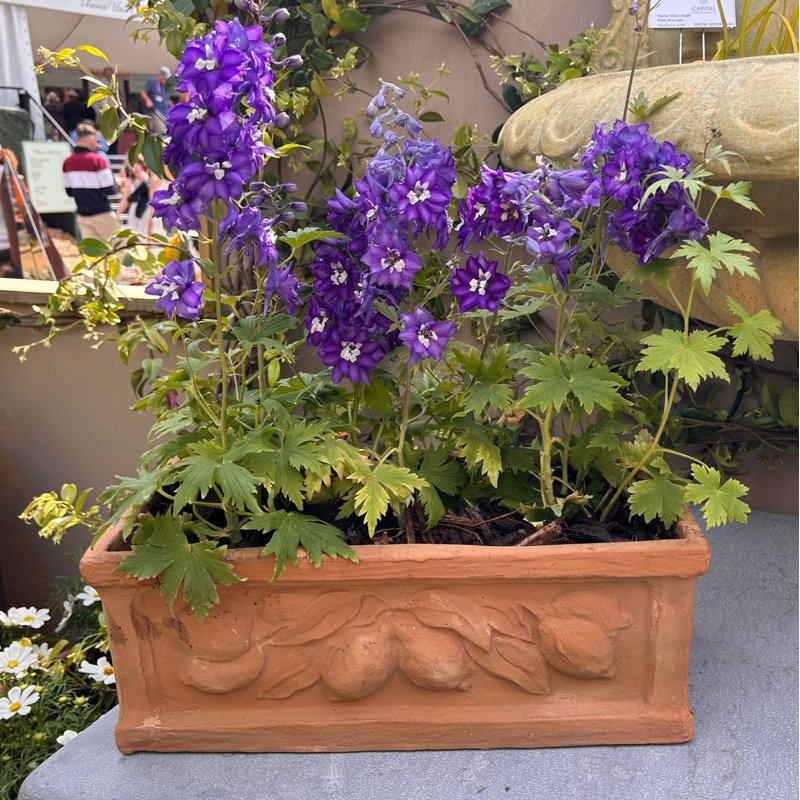 Zachariah Fiberglass Planter Box, 18 cm H x 47 cm W x 22 cm D