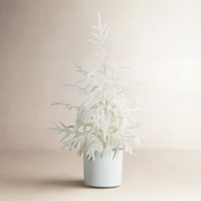 Pre-Lit Pine Tree