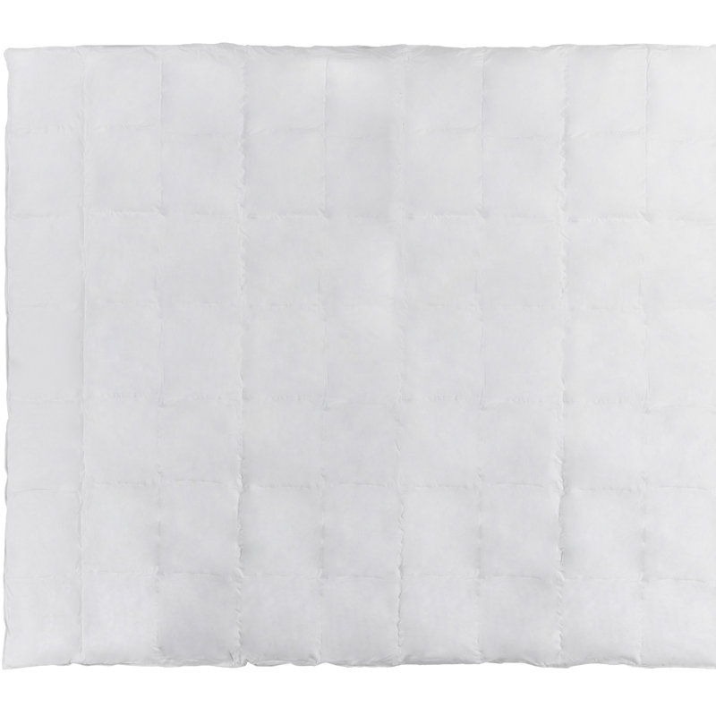 Duvet moyen, Très grand