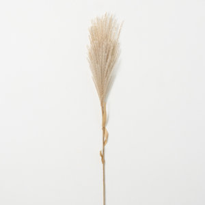 Mcneely Feathery Reed Stems
