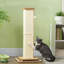 Cat Tree / Condo-1198480049
