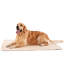 Protège-tapis réutilisables pour chien et chat
