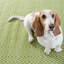 Diamond Handwoven Indoor/Outdoor Rug-133215626-4214442