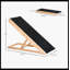 Rampe pour animaux de compagnie