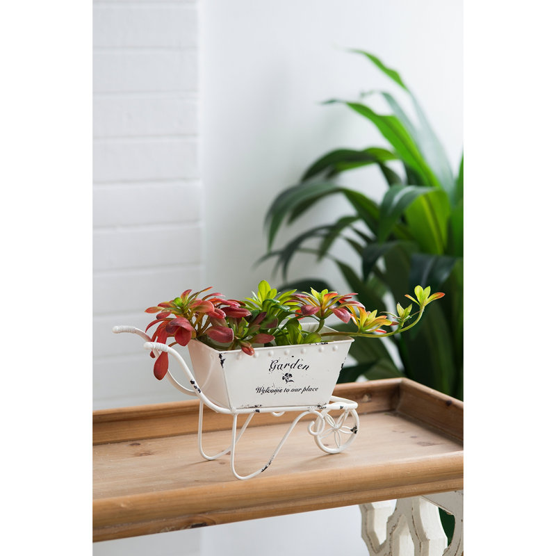 4 pouces de large, blanc antique, jardinière brouette patinée, décor, fausses fleurs, petits outils, plantes grasses fraîches