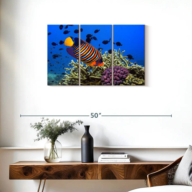 Brampt Royal Angelfish, 20" H x 33" W