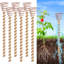 Ensemble d'antennes de 11,8 po avec 6 piquets de cuivre pour les plantes