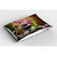 Ensemble de 2 taies décoratives Ambesonne-99896244