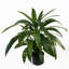 Artificial Foliage Plant in Pot Liner-124076063