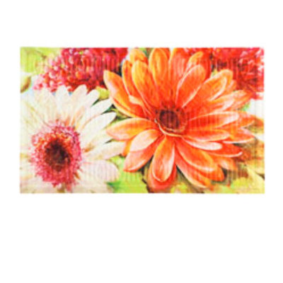 Tapis de porte d’extérieur anti-dérapant 30 x 18 en relief tango floral Pate