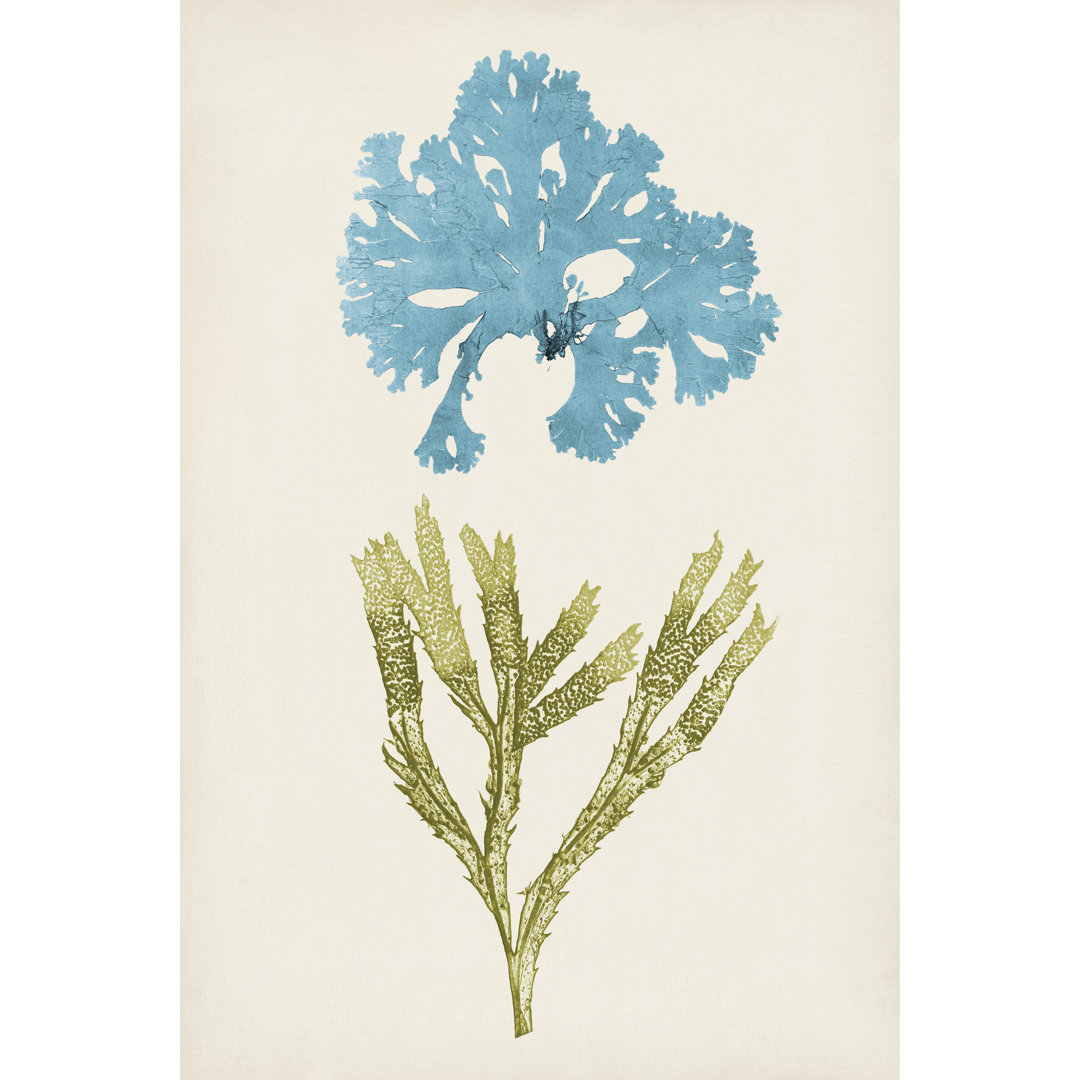 Aqua & Citron Coral III