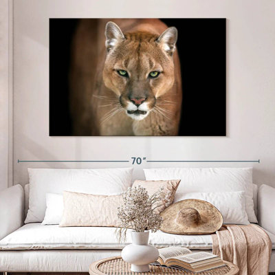 Brampt Fierce Puma