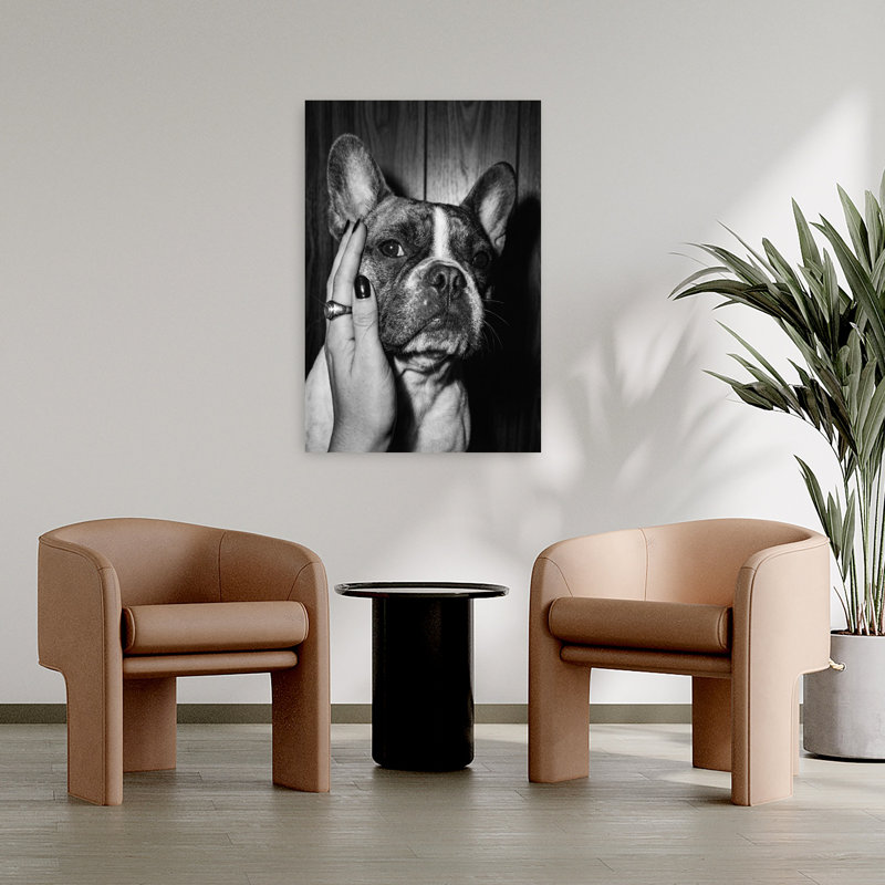 Art rétro, caresser un bouledogue français rétro, H 36 po x l 24 po, Blanc