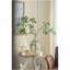 Vase D9x16