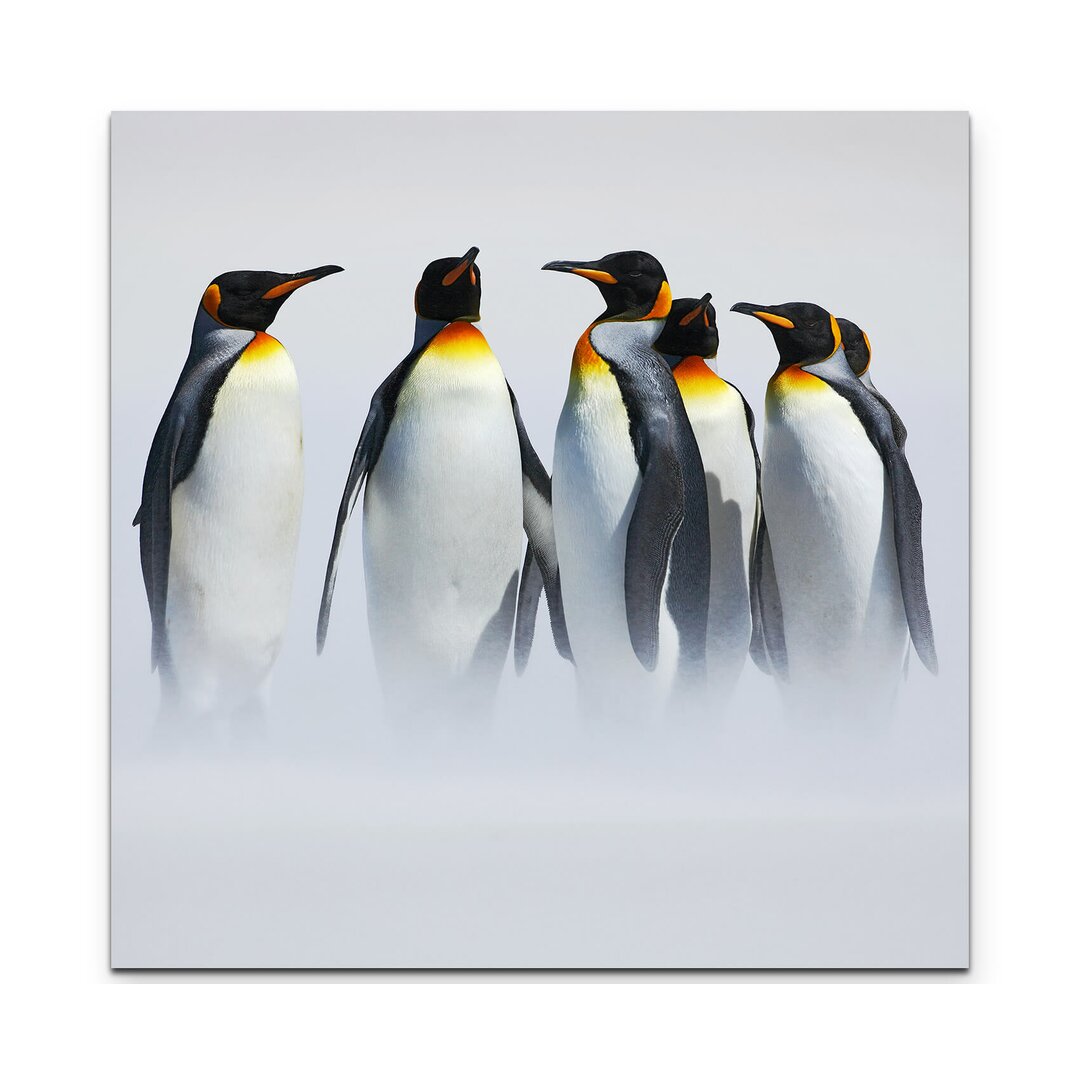 Leinwandbild Pinguin Gruppe