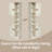 Tall Freestanding Cupboard, Superfast Toolless Assembly, Storage Cabinet, Adjustable Shelves For Living Room
