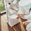 Plastic Rolling Laundry Sorter