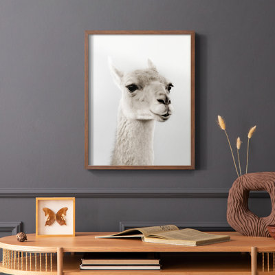 Reproduction encadrée de lama doux - bois massif
