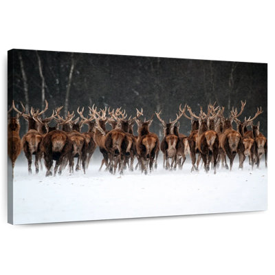 Deer Escape