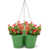 Vert pomme