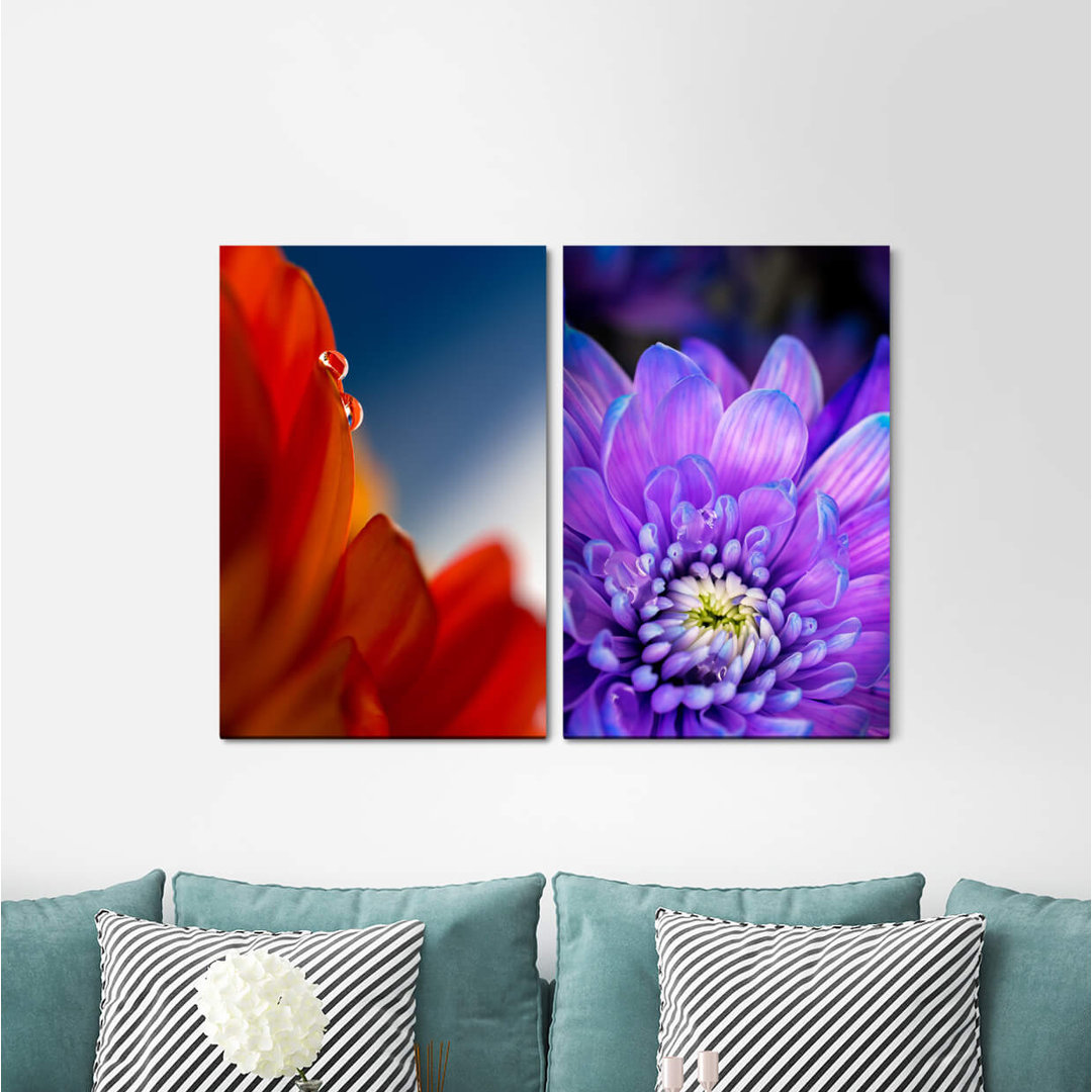 2-tlg. Leinwandbilder-Set - Fotografie „Zinnie Red Blue Flower Summer Detail Rich Gentle”