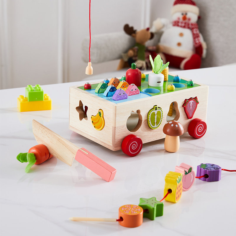 Shape Sorter Toys Set
