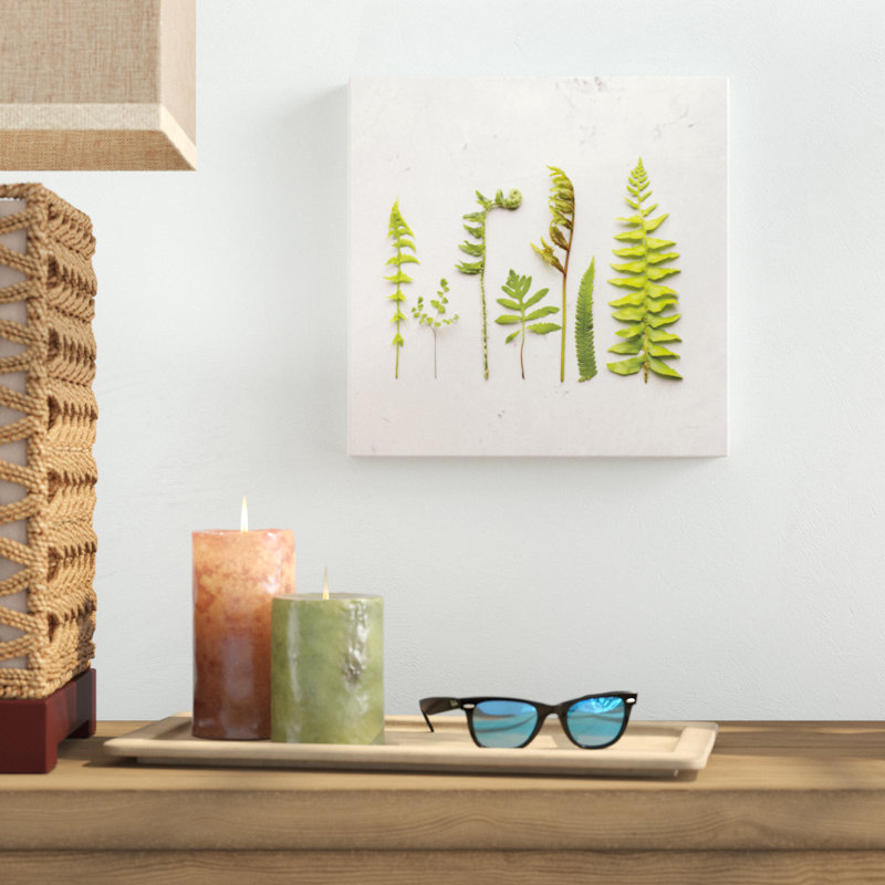 Flat Lay Ferns IV by Felicity Bradley - No Frame Print on Canvas, 30cm H x 30cm W