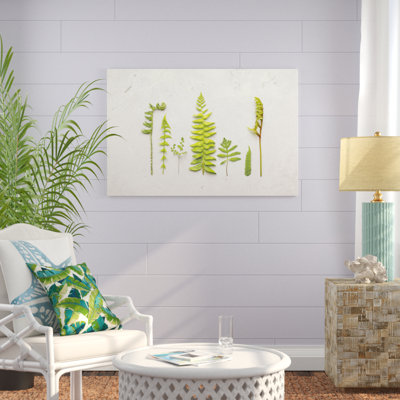 Flat Lay Ferns II by Felicity Bradley - No Frame Print on Canvas