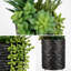 Arrangement