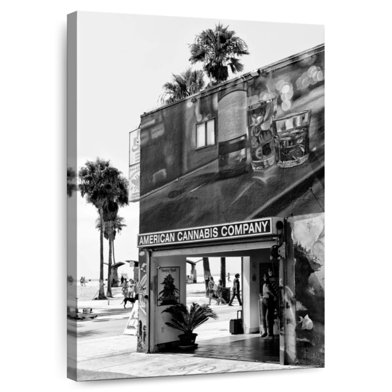 Lilie American Cannabis Venice Beach, 51" H x 34" W