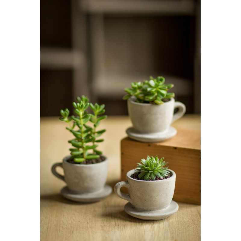Abordale Statue Planter