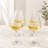 Plastic Wine Glasses Set of 4 (15oz)