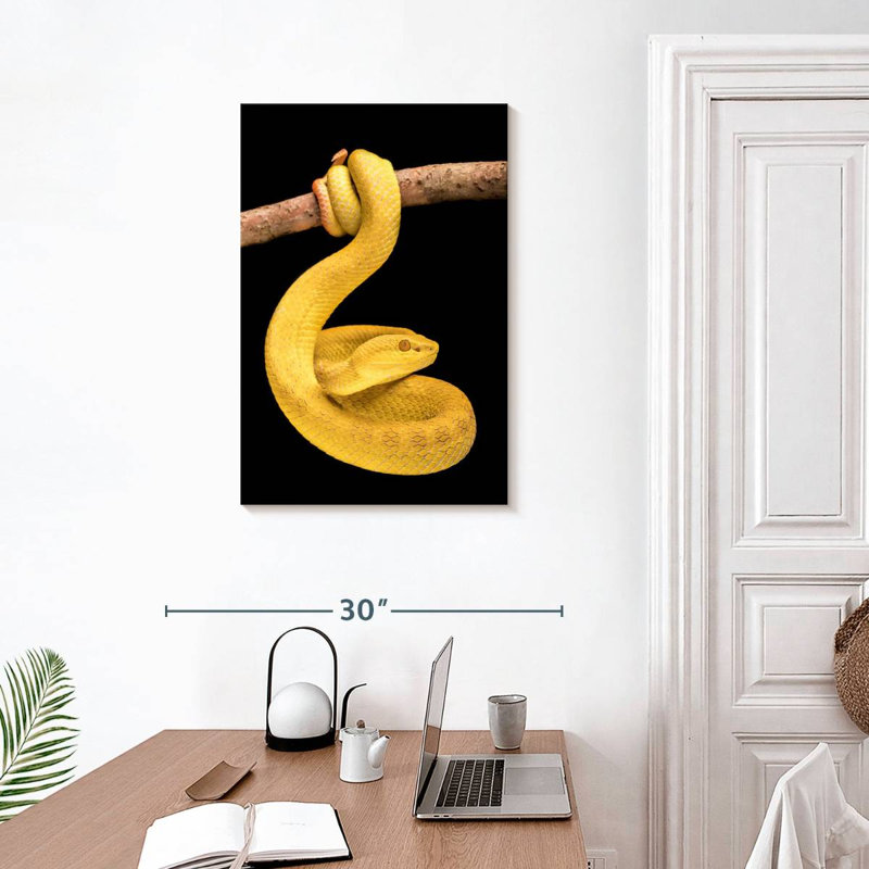 Brampt Venomous Pit Viper, 30" H x 20" W